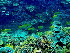 3EF6B93C-6E78-44FB-ABF4-67D17D569081